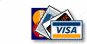 Purchase with Visa, PayPal